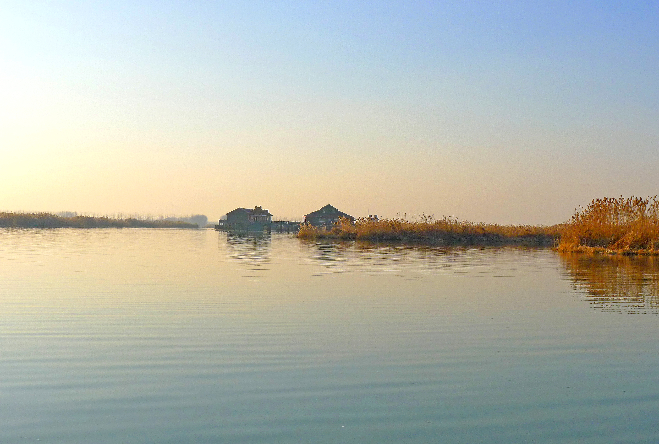  p>建湖县九龙口位于建湖县蒋营镇西南部,处于 射阳湖腹部,由蚬河,林