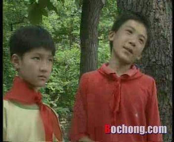 是1996年由赵文炘,庞好执导的电视剧,主要讲述了"金猴小队"的少先队员