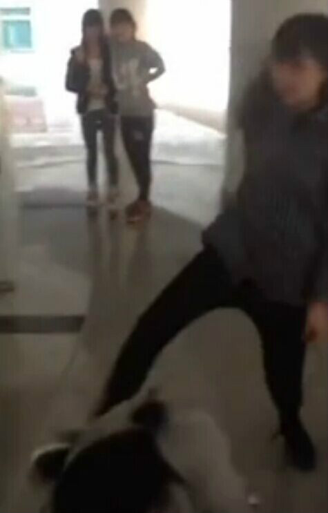 重庆女学生打架事件