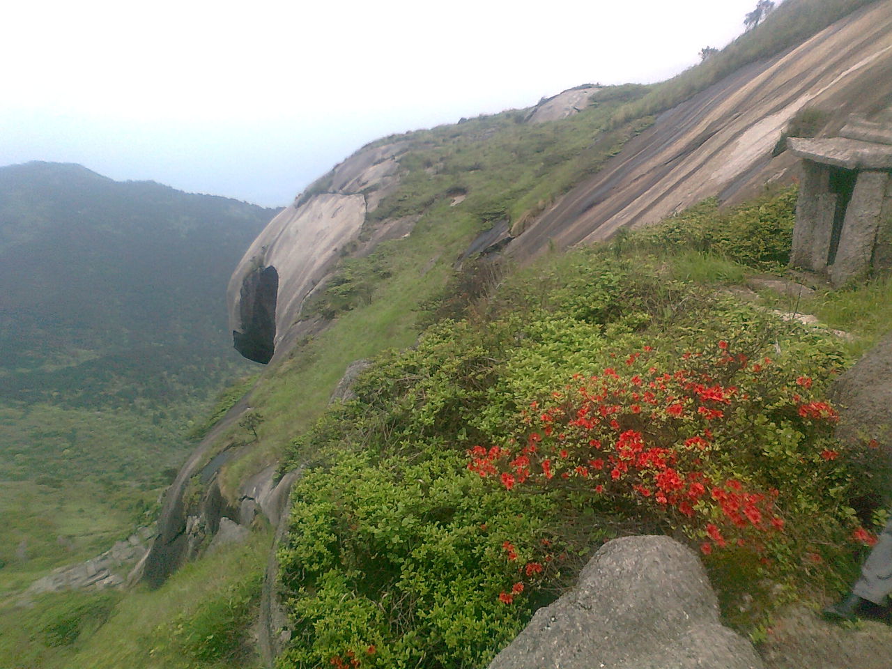 金铙山原名大历山,又名太弋山,位于福建省三明市泰宁县和三明市建宁县