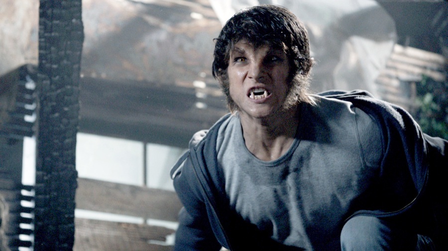 href="#" data-lemmaid="6614554">泰勒·珀西 /a>等主演的美国电视剧