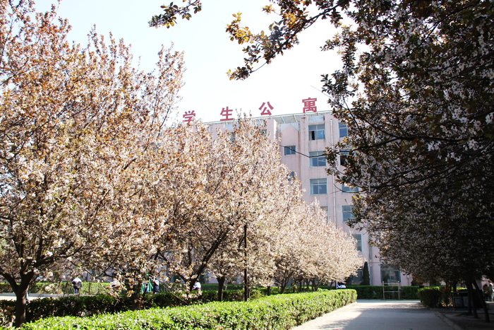 邢台市第三中学