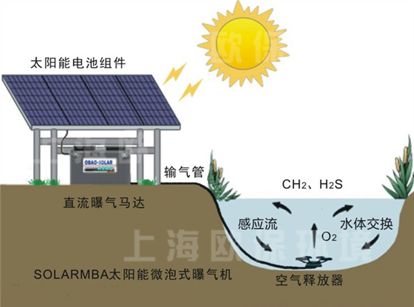 水体自净