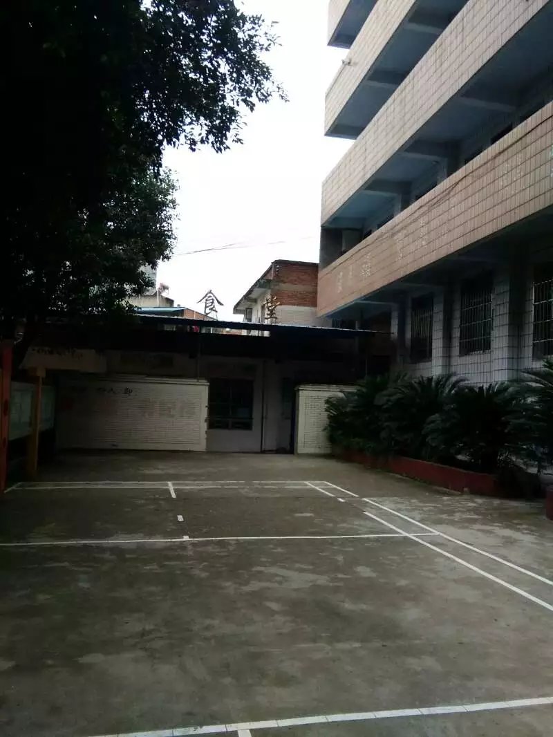 四川省威远县严陵中学