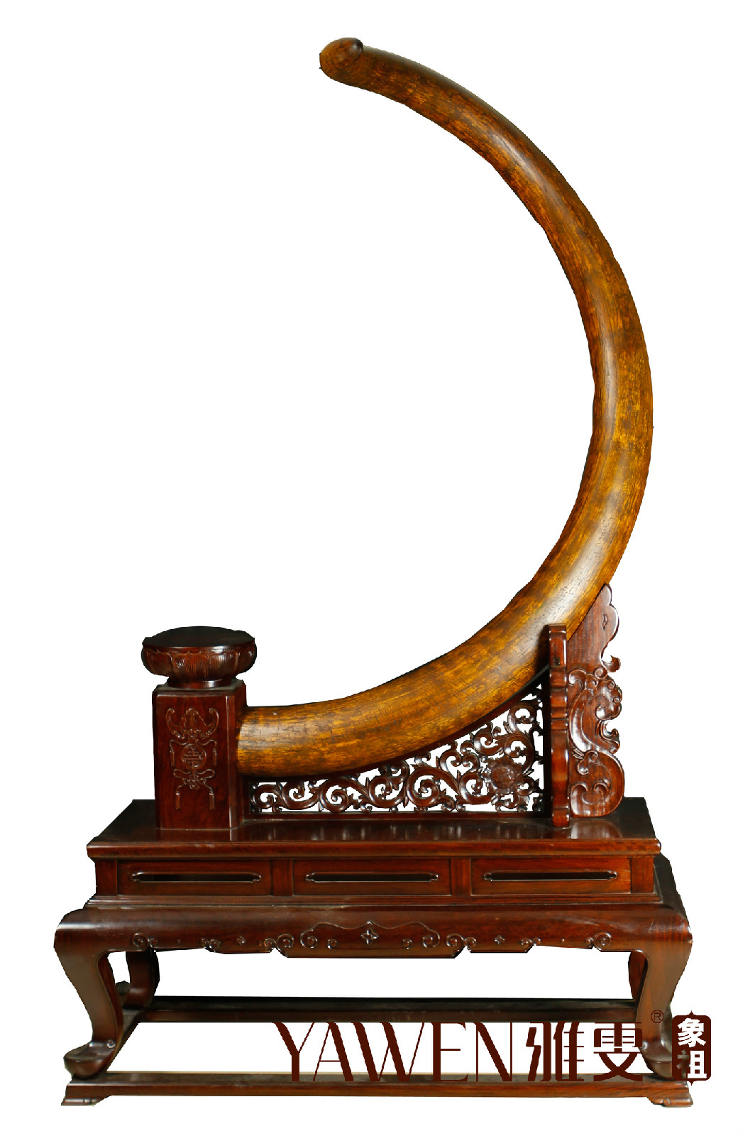  p>·古象的意思,通常指大象的祖先或基因序列中列为象的物种,古代或