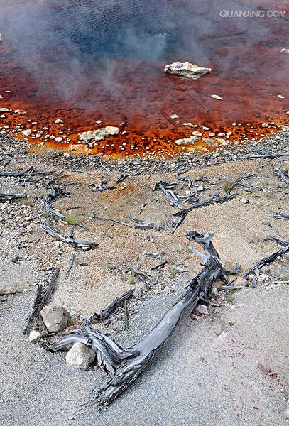  p>嗜热菌俗称高温菌,广泛分布在温泉,堆肥,地热区