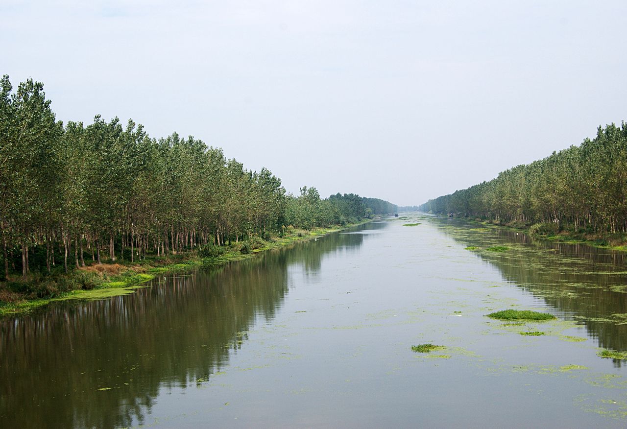 射阳河口风景区