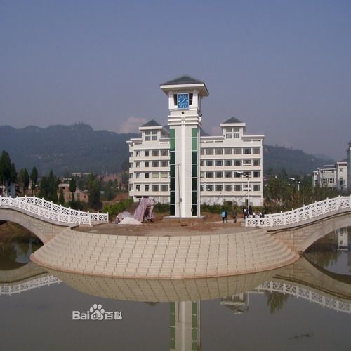 巴中中学龙湖校区