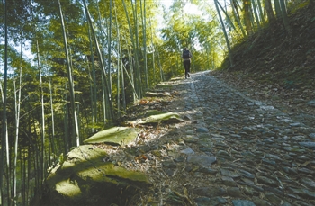  p data-id="gnaznd1001">东山村是浙江省宁波市鄞州区 a target="