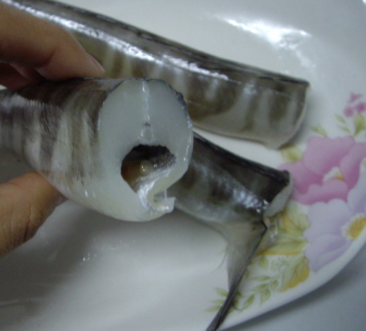  p>小鳞犬牙南极鱼(patagonian toothfish),亦称"犬牙鱼","美露鳕","