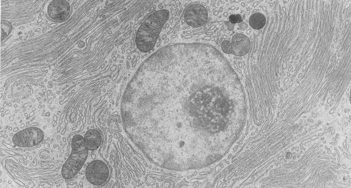  p>细胞破碎, a target="_blank" href="/item/细胞破碎技术/6832255"