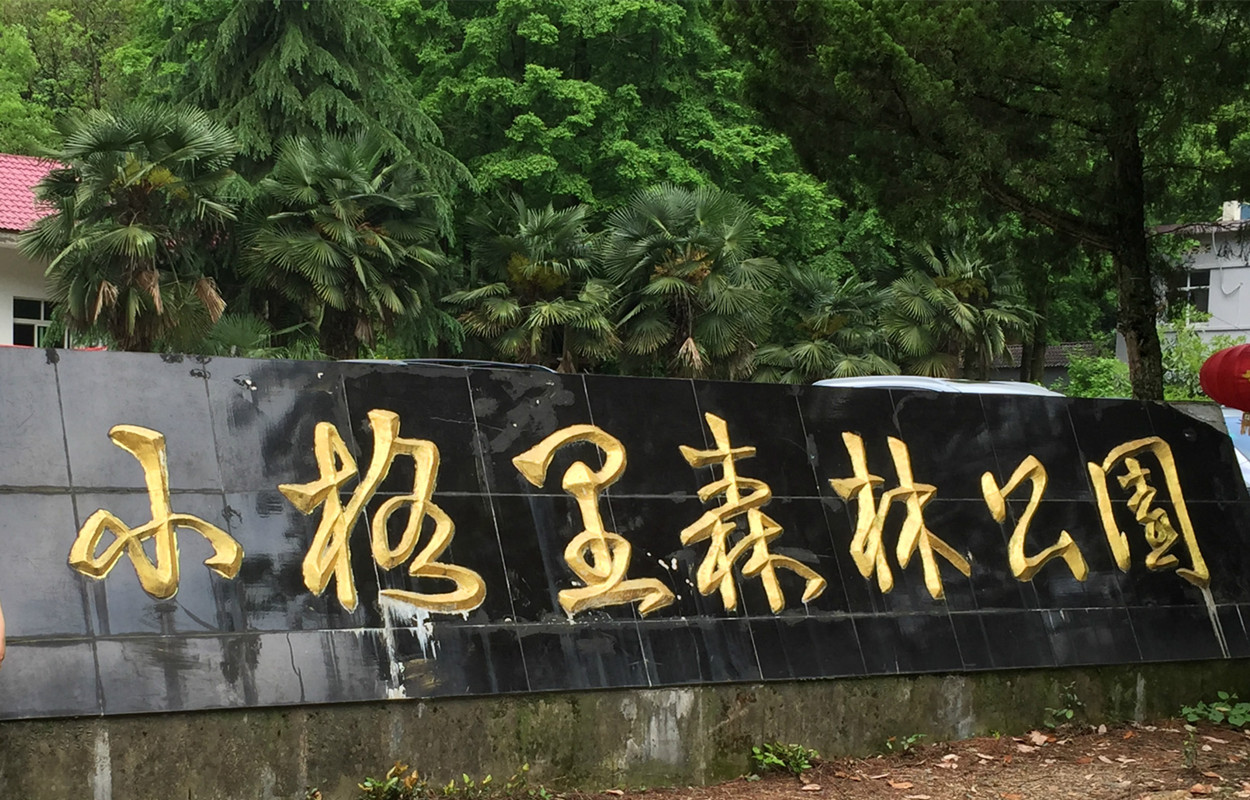  p>小格里自然风景区位于安徽省芜湖市 a target="_blank" href="