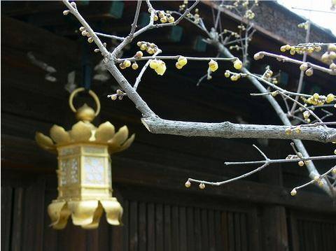 天满宫_百度百科