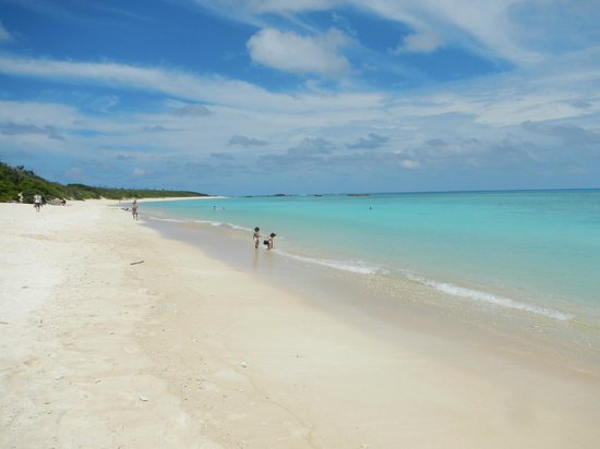  p>《19号海滩》是由 a target="_blank" href="/item/安东尼奥·达