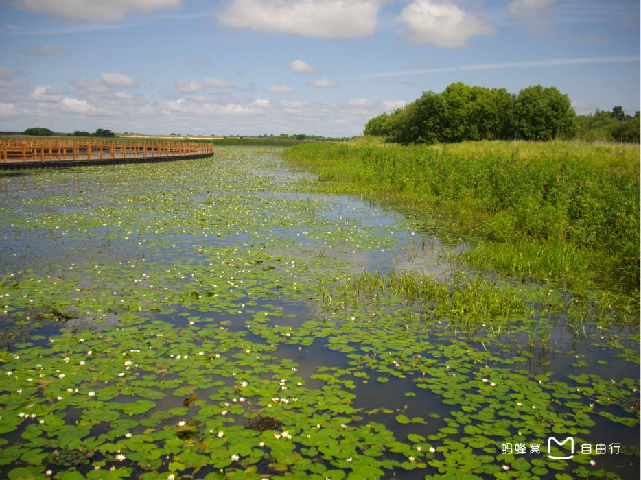  p>黑瞎子岛,又称抚远三角洲,摩林乌珠岛,俄称塔拉巴洛夫岛,大乌苏里