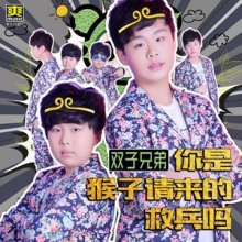 双子兄弟组合 百度百科