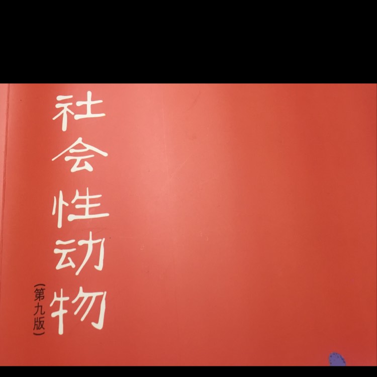 社会性动物