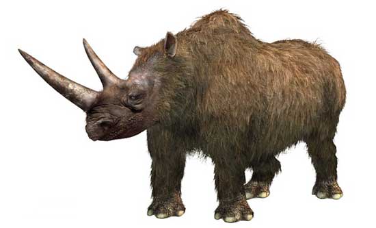 data-lemmaid="634418">第四纪 /a>时古哺乳动物,即 a target="_blank