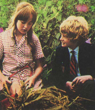 两小无猜melody(1971)