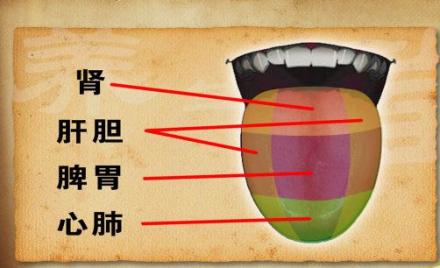 舌诊_百度百科