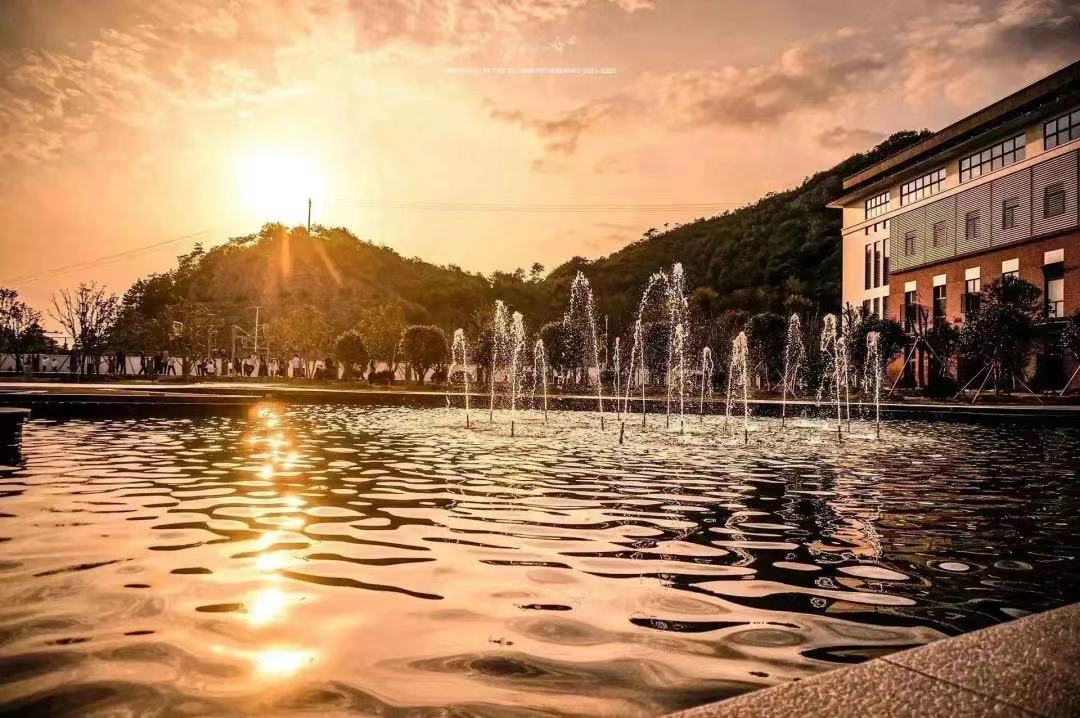  p data-id="tpt1rsvxuyvq">三门观澜中学位于 a target="_blank"