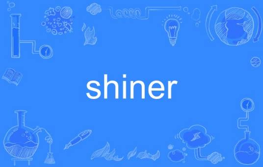 shiner（英语单词）_百度百科