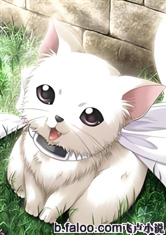 火影之猫妖传_百度百科
