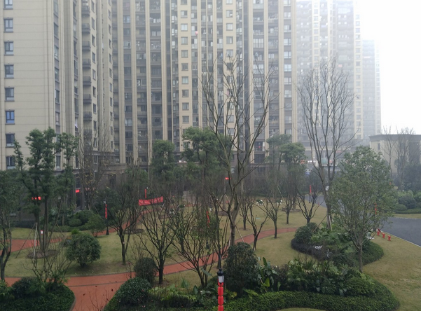 金科空港城
