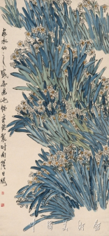 水仙盛开