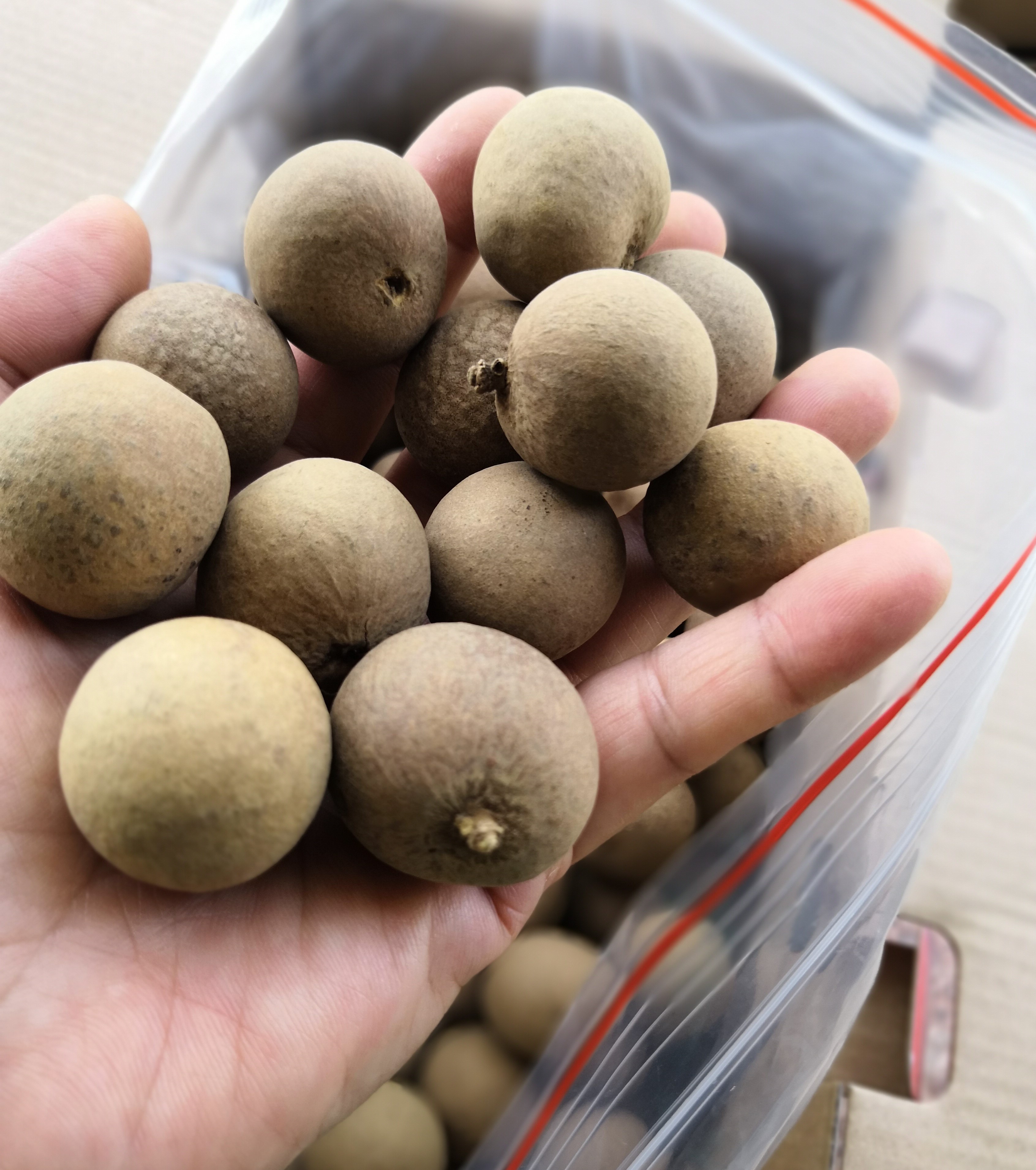 凤梨穗桂圆干