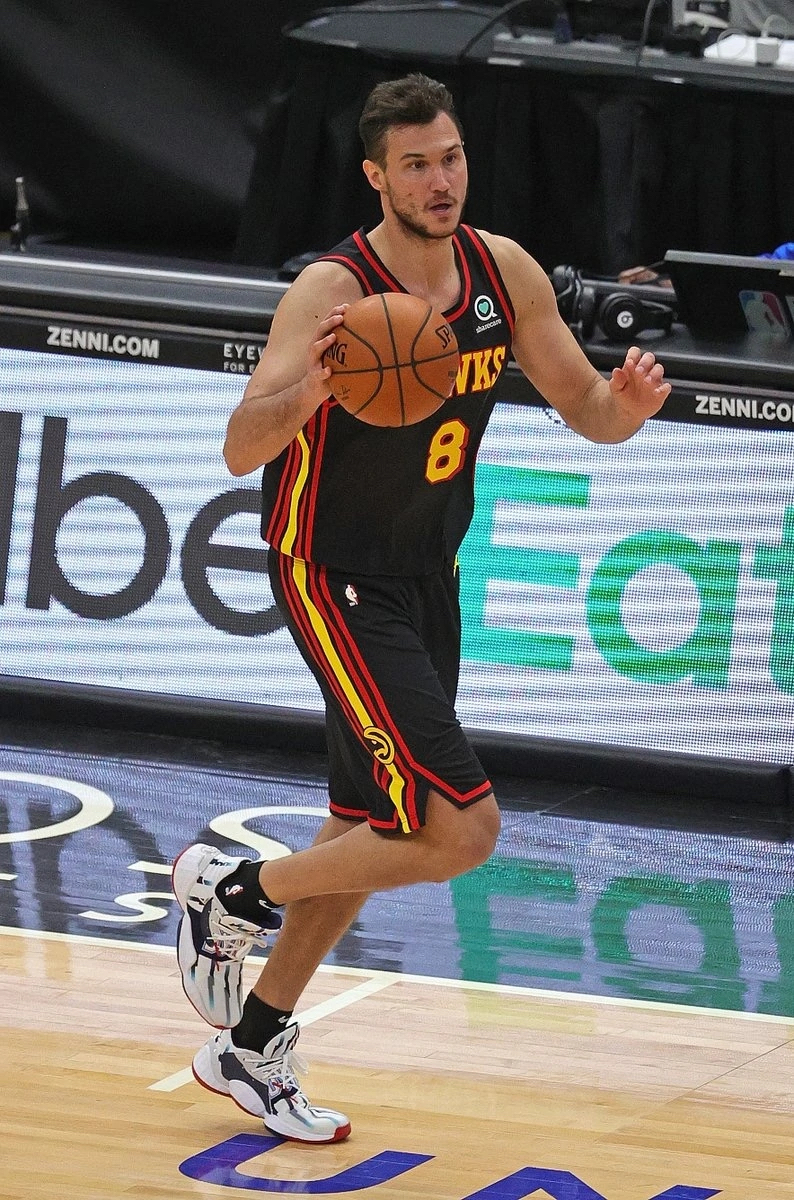 达尼洛·加里内里