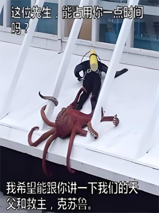 密大事件调查录_百度百科