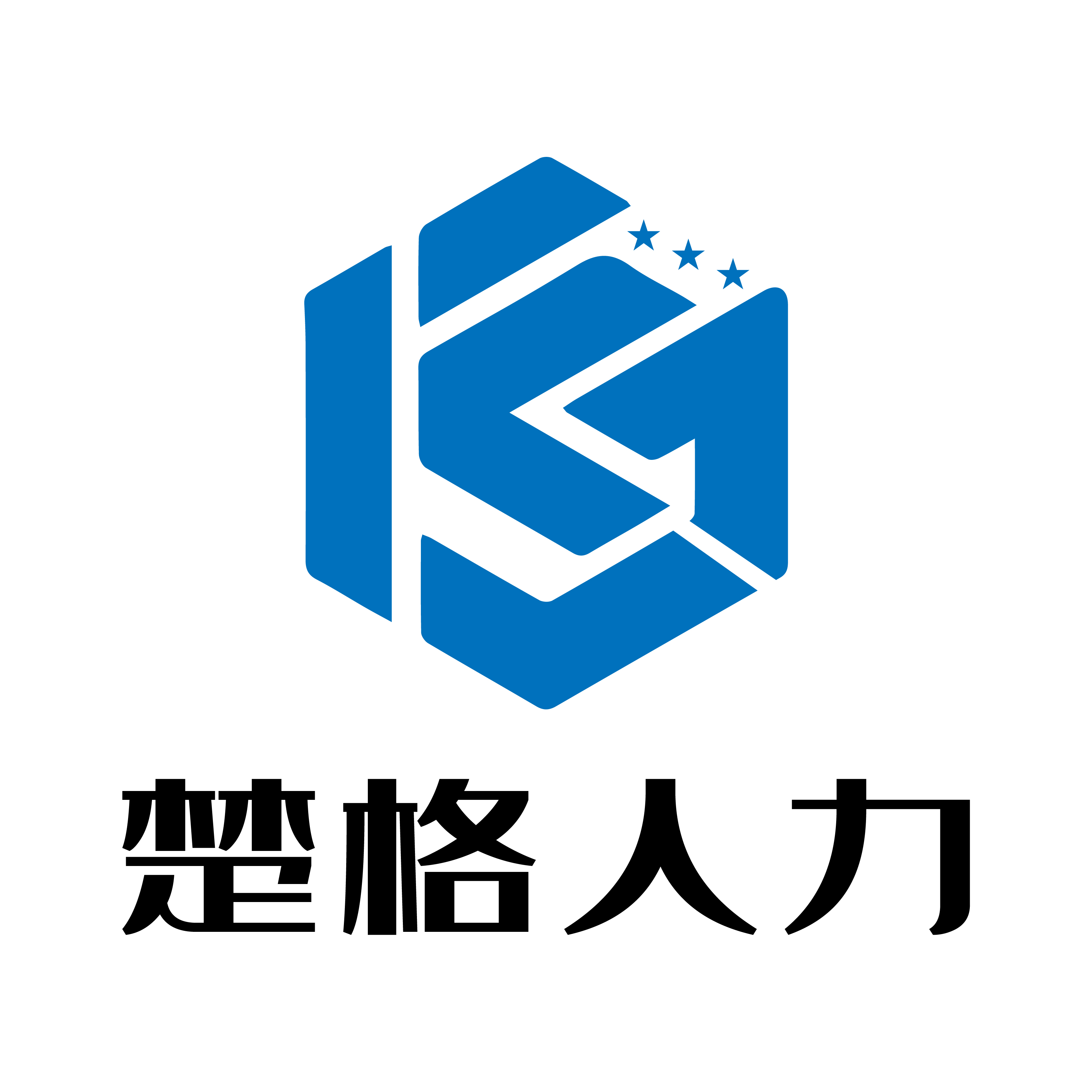 楚格人力资源(荆州)有限公司