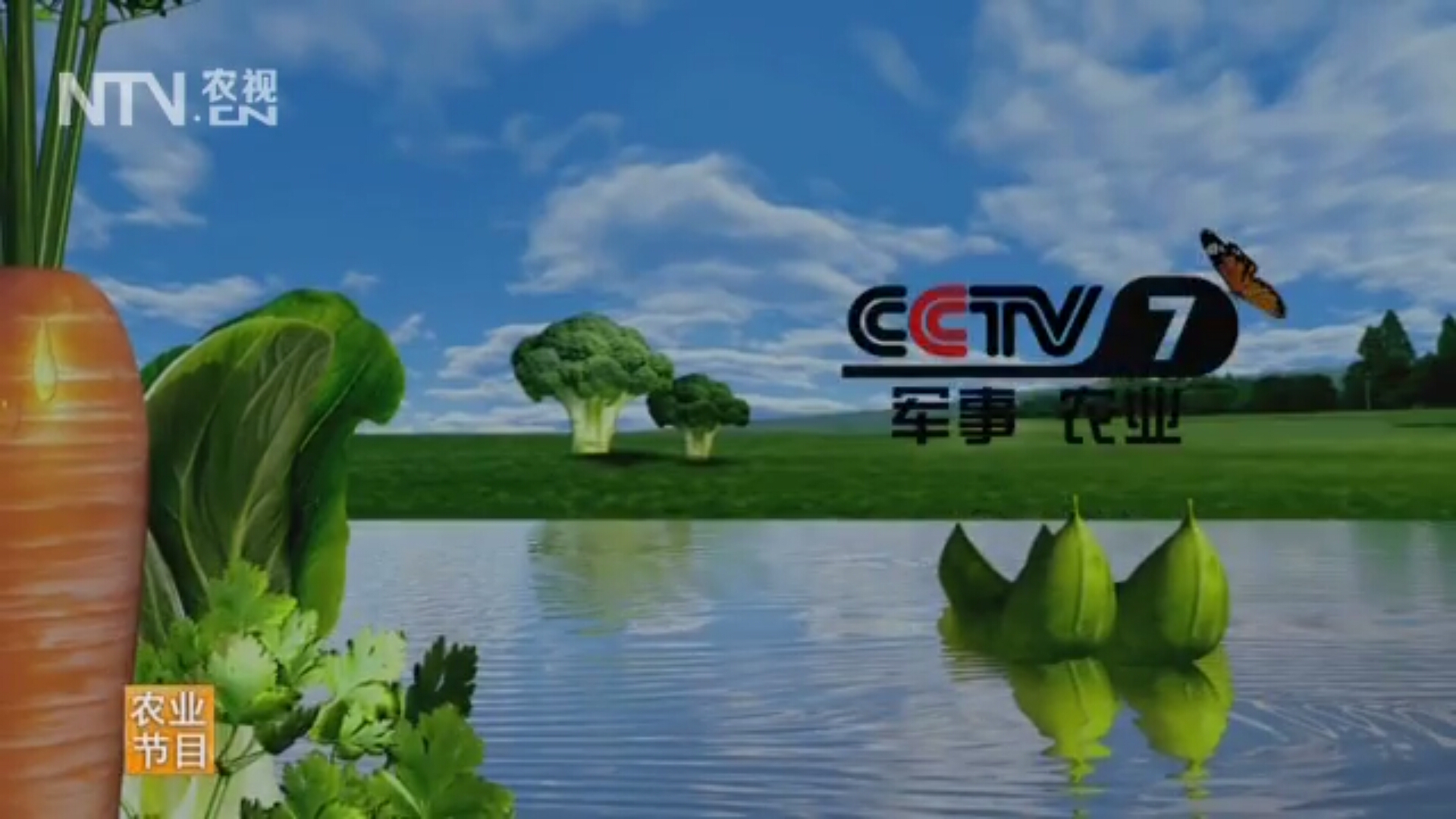 cctv-17农业农村频道