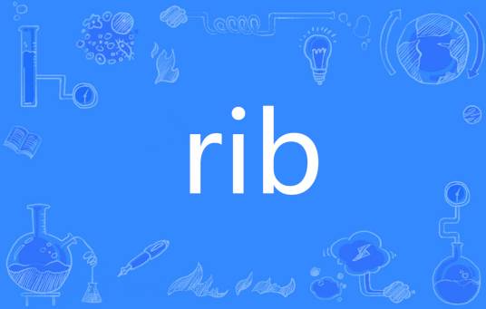 Rib（英语单词）_百度百科