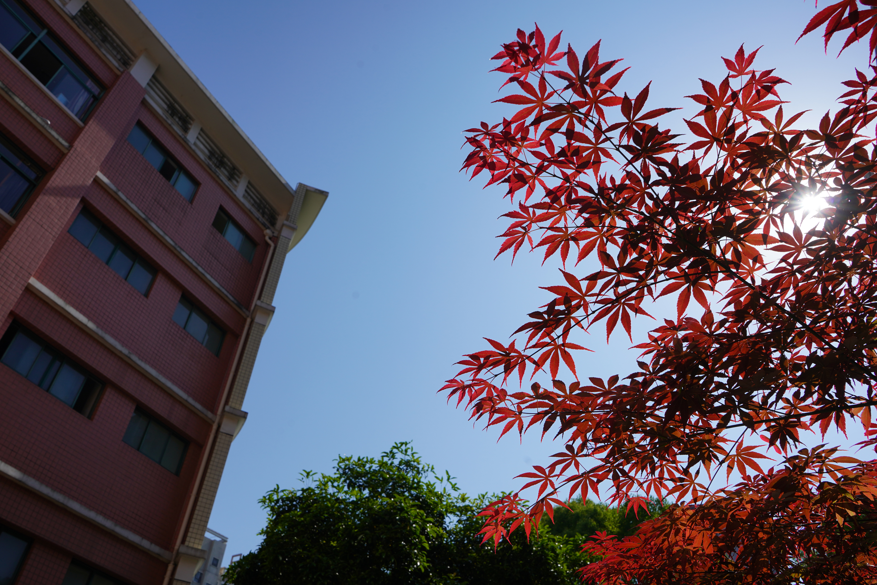 上海市辽阳中学