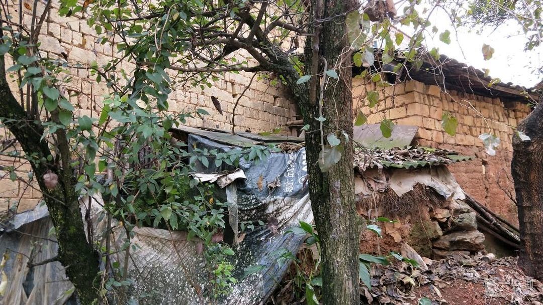  p data-id="2f9bgyua2nk">新城村是山东省菏泽市巨野县 a target="