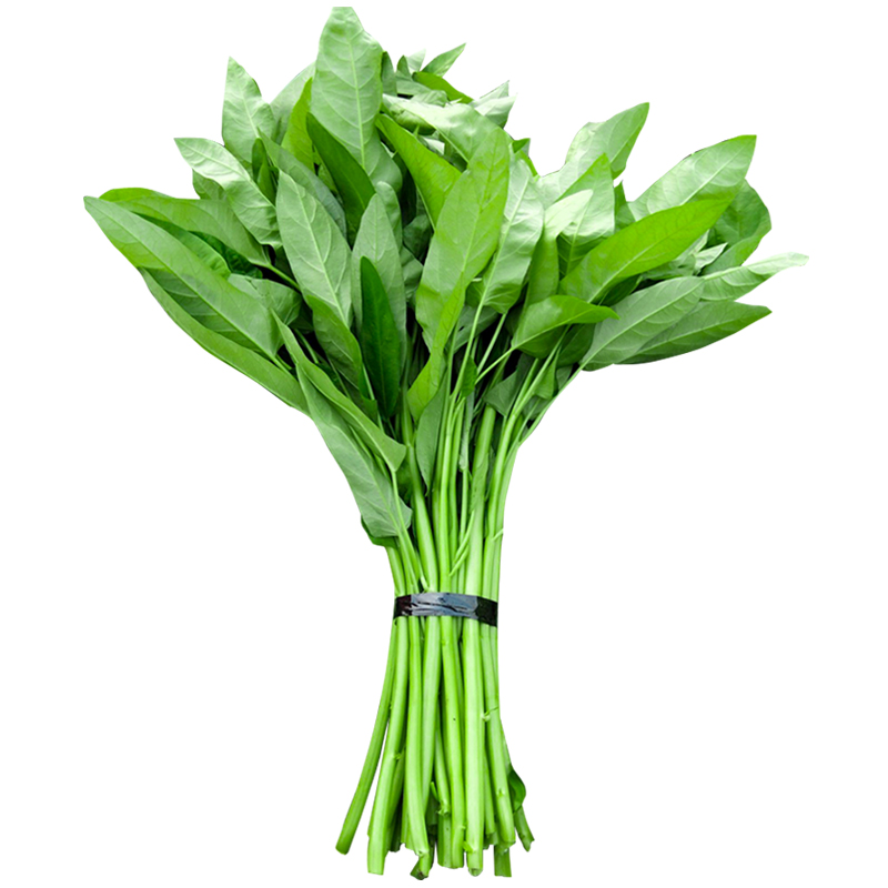  p data-id="t6feh8ffum1e">泰国柳叶空心菜是泰国产空心菜品种.