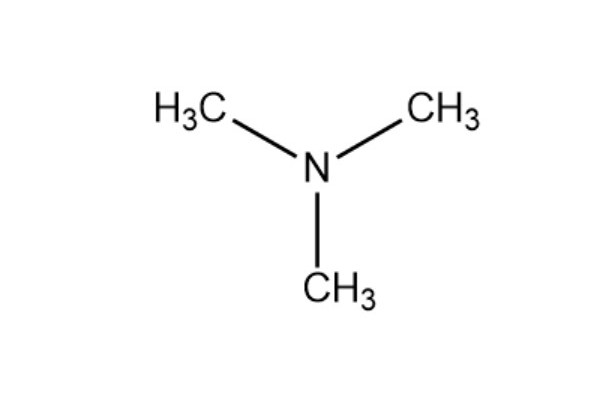 trimethylamine tma