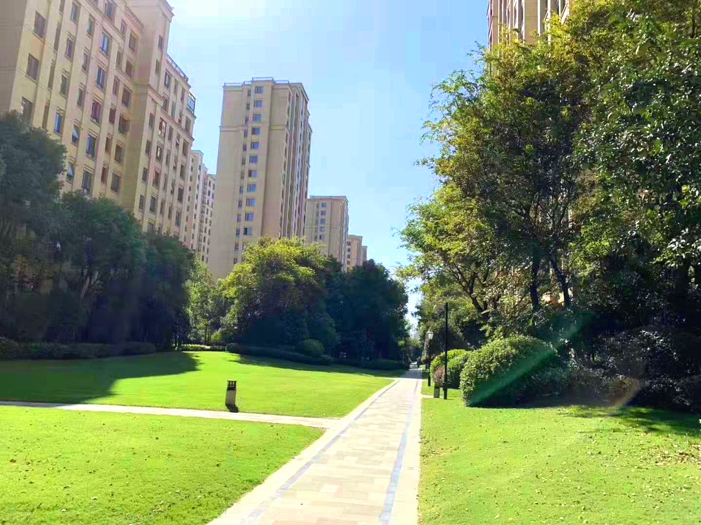 美的新力公园天下