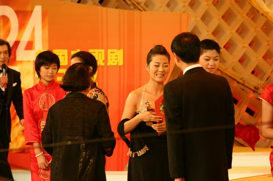 第24届中国电视剧飞天奖