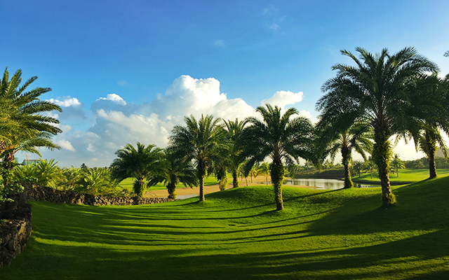  p data-id="go0ff26dqi">绿城蓝湾小镇,位于海南省大三亚清水湾,占地