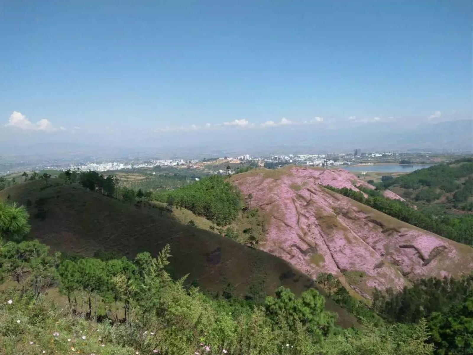  p data-id="uc3d7f1gi6bk">公母山又名连理山,莲花山,位于县城西南5