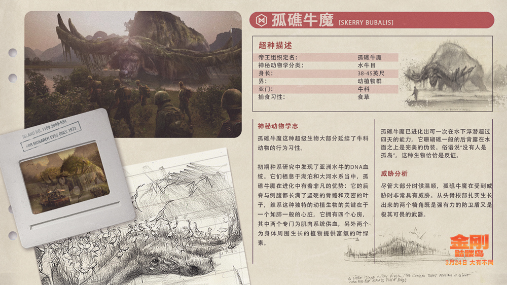 《 a target="_blank" href="/item/金刚:骷髅岛/15091788" data