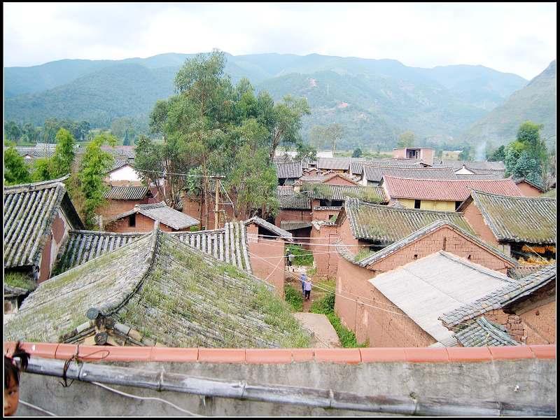 大营村