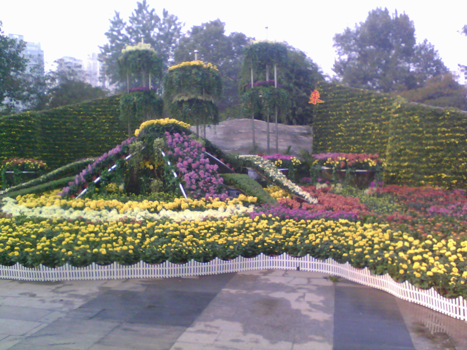 张公堤城市森林公园