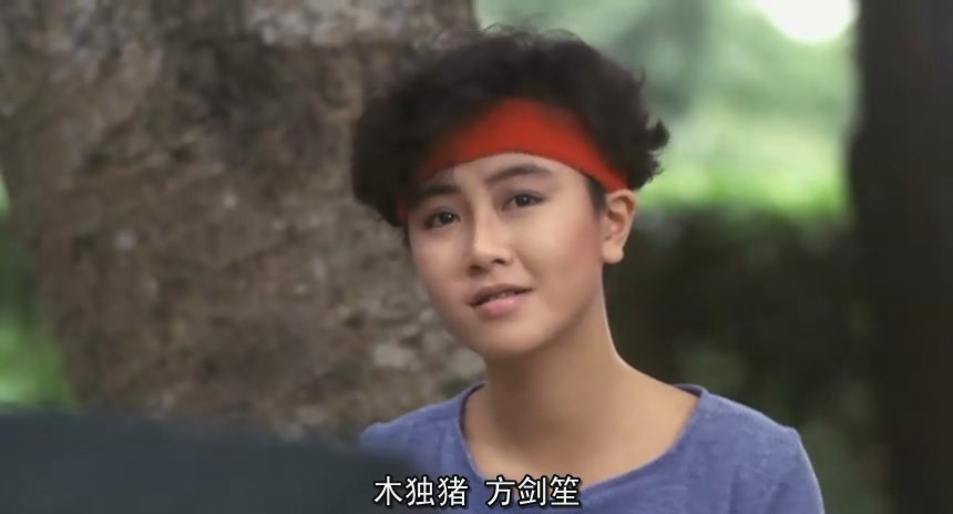  p>袁洁莹(fennie yuen),1969年9月15日生于中国香港,中国香港影视女