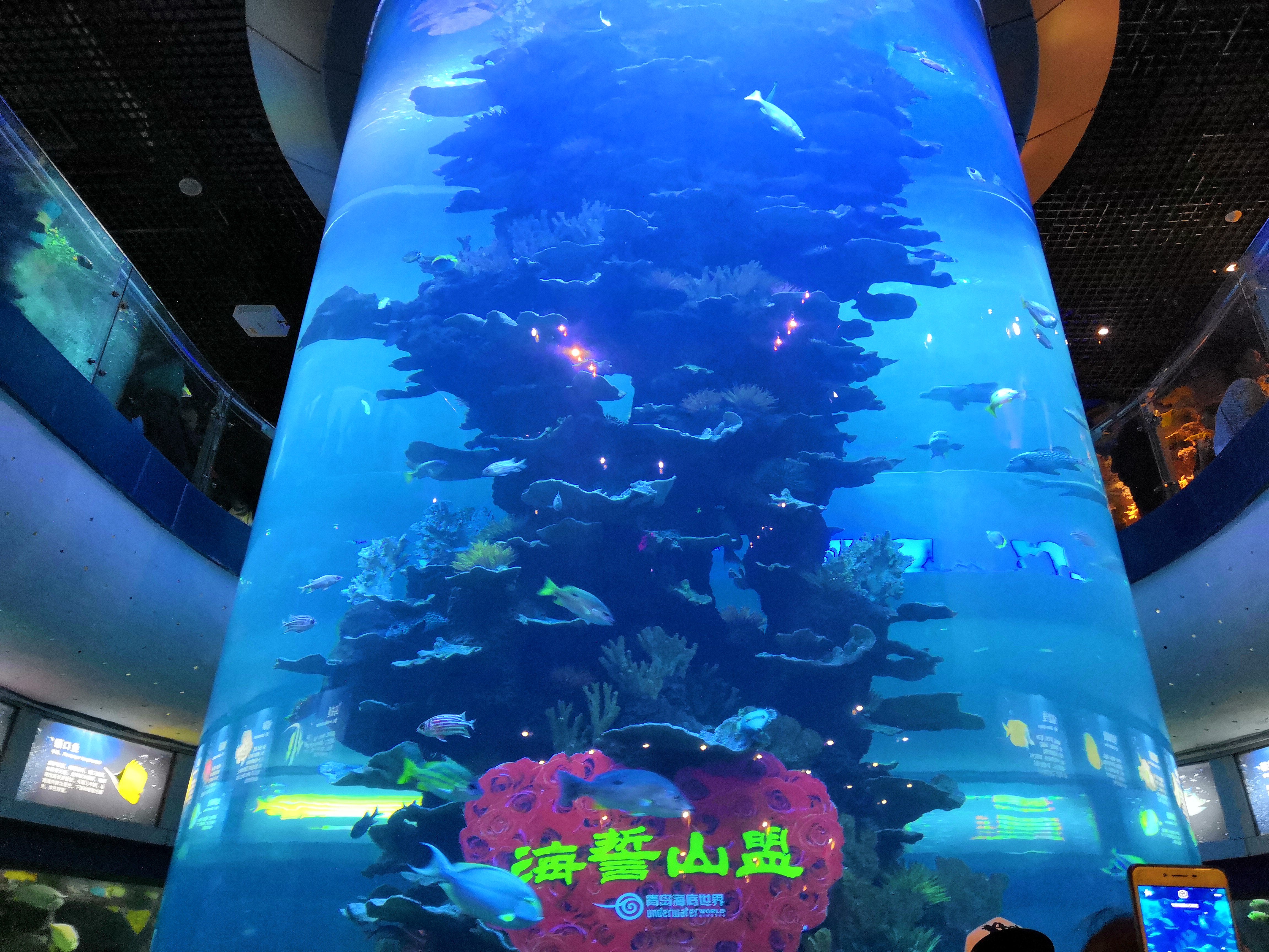 data-lemmaid="14076862">海底世界 /a>位于青岛 a target="_blank"