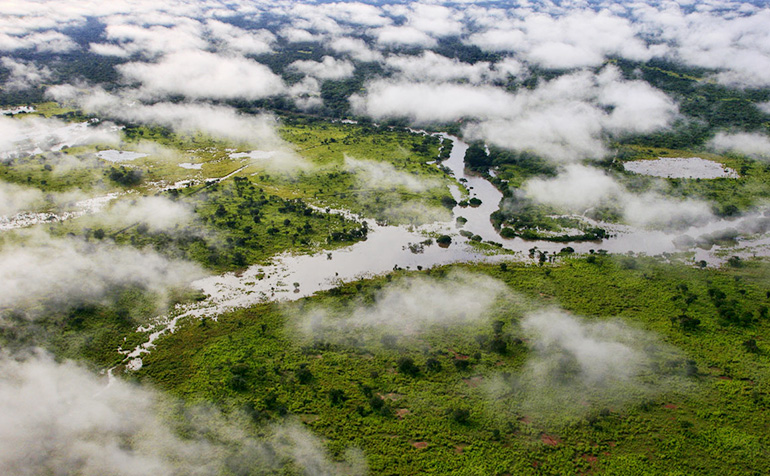  p>刚果盆地(英语:congo basin; a target="_blank" href="/item/斯瓦