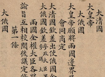  p>《中俄伊犁条约》,一般指1881年 a href="#" data-lemmaid="941787